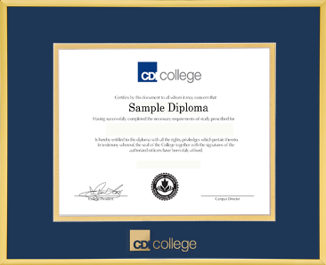 Satin gold metal diploma frame with double matting and gold embossed logo